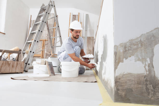 Best Emergency Mold Remediation  in Schuyler, NE