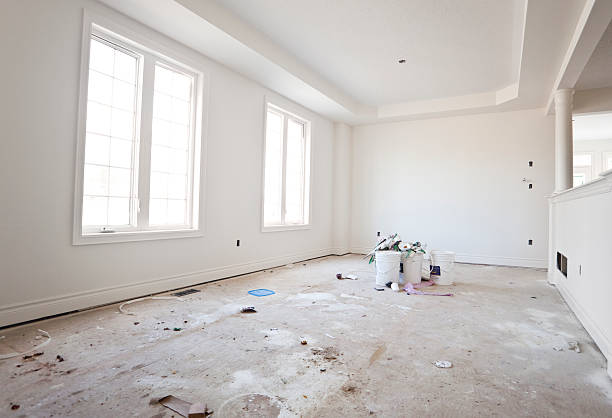 Best Attic Mold Removal  in Schuyler, NE