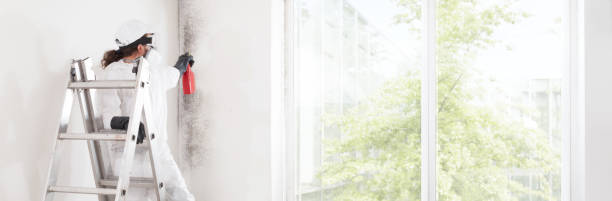 Best Mold Odor Removal Services  in Schuyler, NE