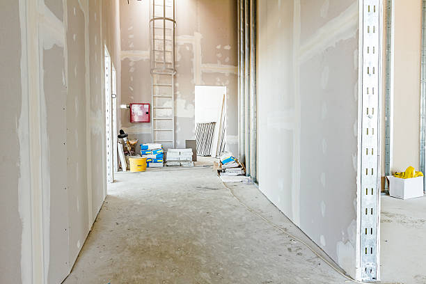 Biohazard Mold Removal in Schuyler, NE