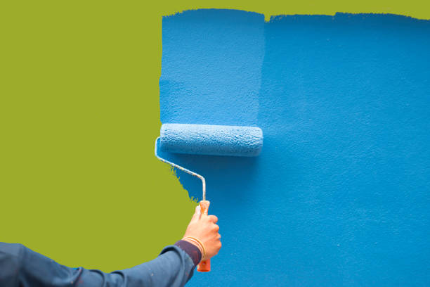 Professional Mold Removal in Schuyler, NE