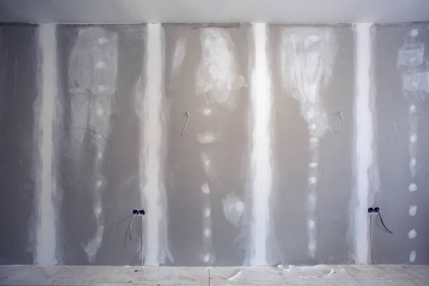 Best Industrial Mold Remediation  in Schuyler, NE